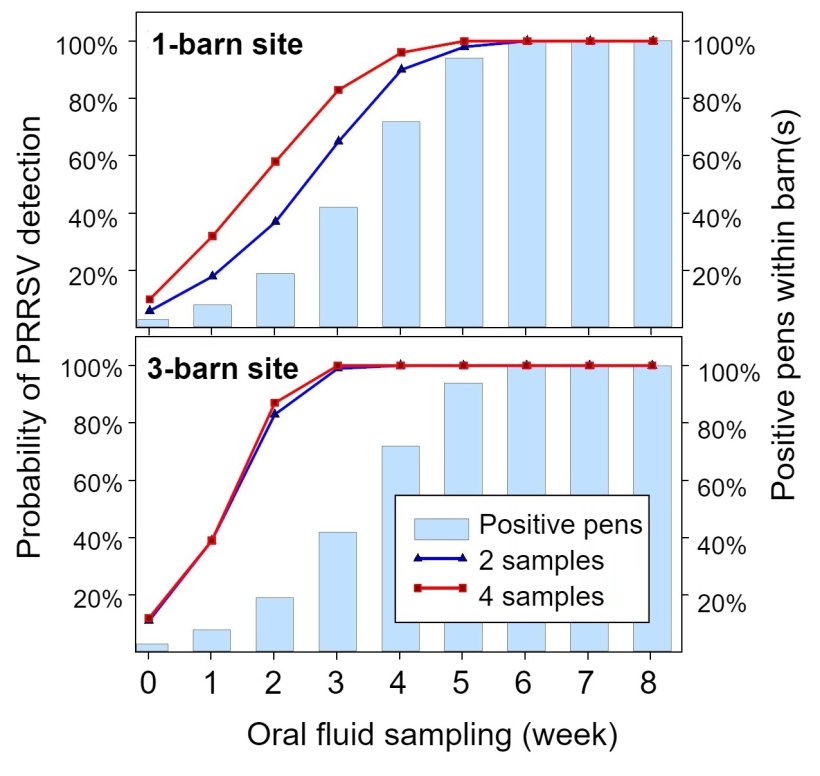 Figure 1. PRRSV detection using fixed spatial sampling. Probability of detecting ≥ 1 PRRSV positive samples as a function of the number of oral fluids tested per barn (2 or 4) and number of barns per site (1 or 3). Note that the probability of detection increases geometrically with the number of barns sampled. Data from Rotolo et al., (2017).